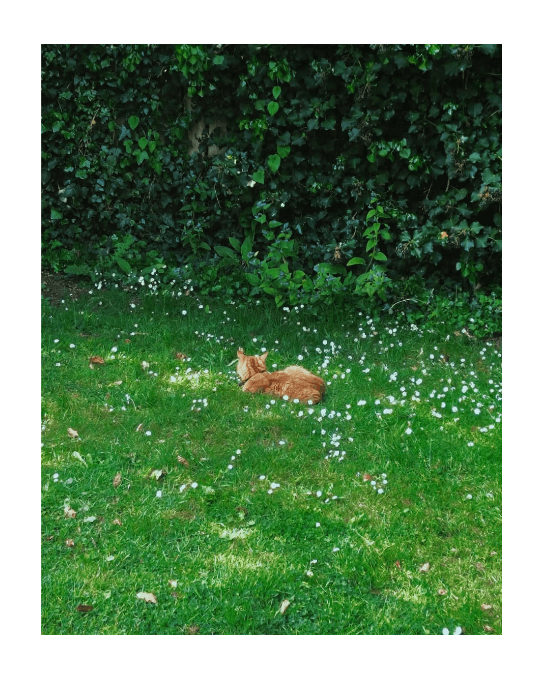 Snapshot 2